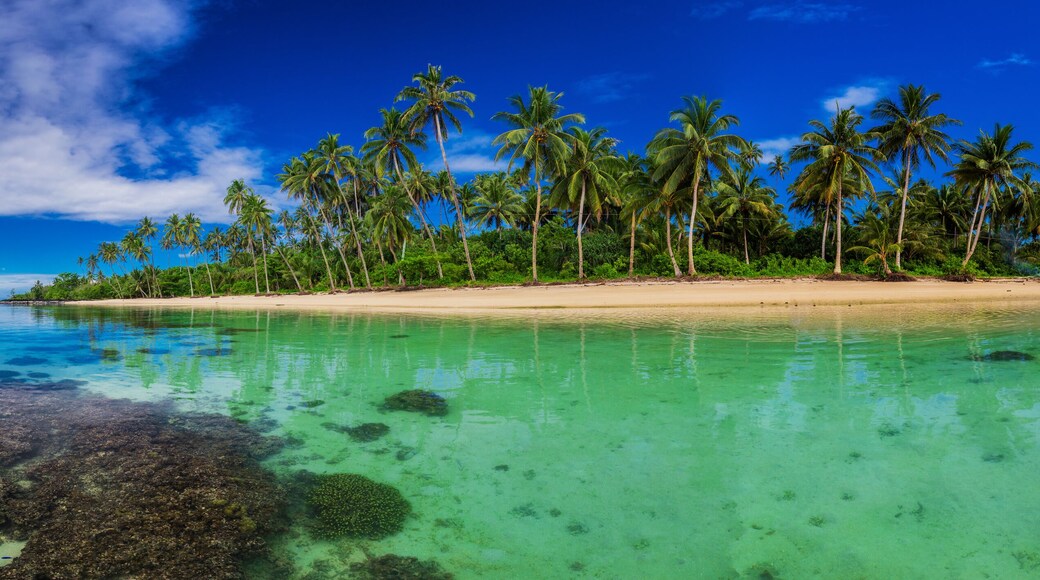 Beach with coral reef on south side of Upolu, Samoa Island with palm trees