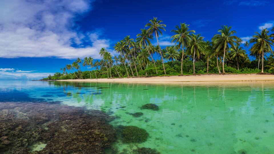 A tropical beach with clear turquoise waters, sandy shore, and tall palm trees.