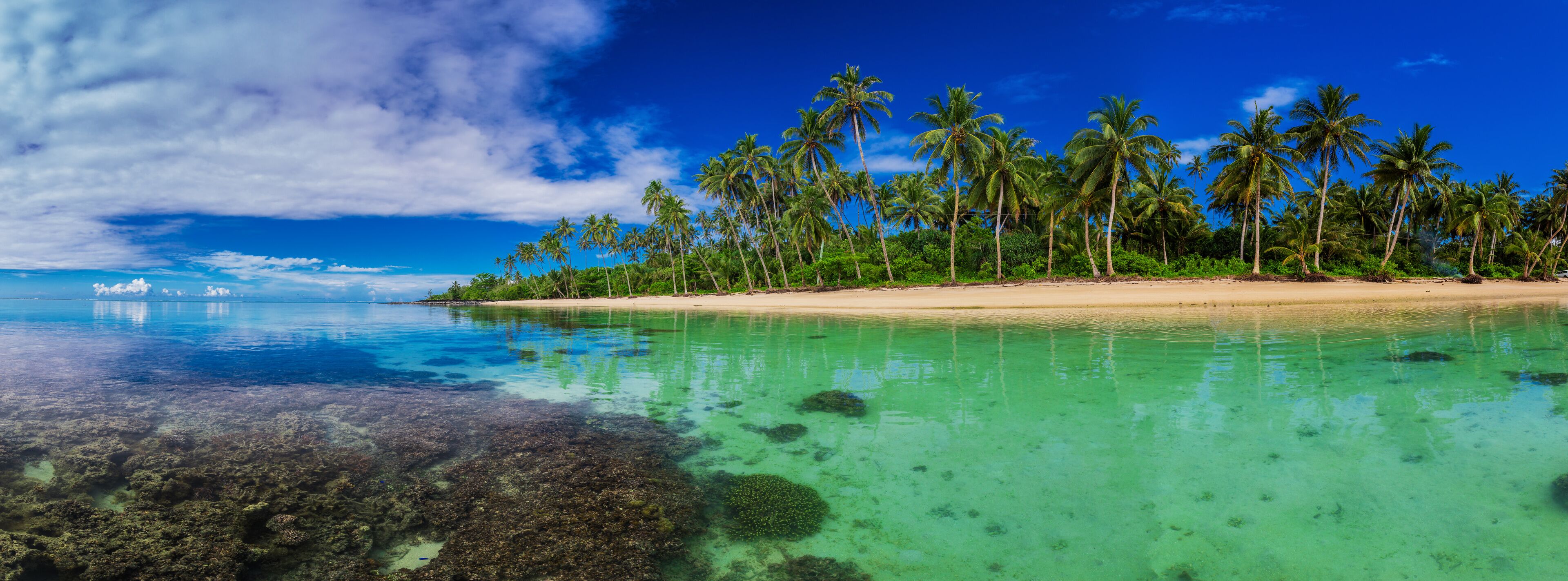 A tropical beach with clear turquoise waters, sandy shore, and tall palm trees.