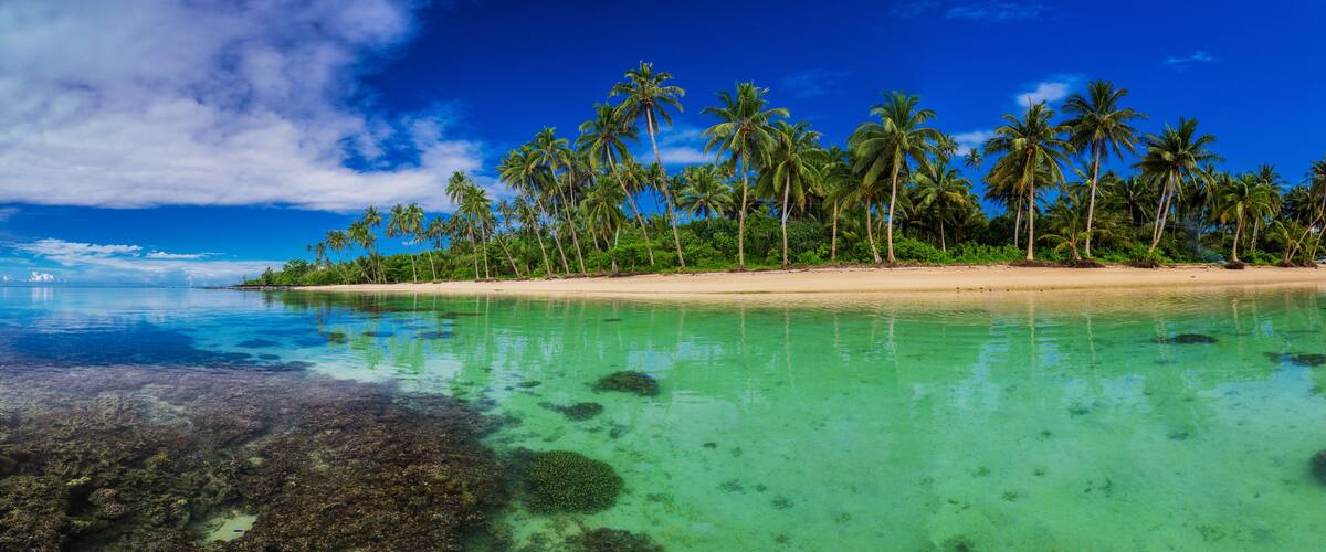 A tropical beach with clear turquoise waters, sandy shore, and tall palm trees.