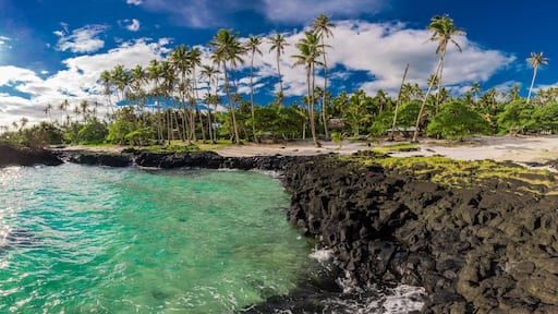 Tropical volcanic beach on Samoa Island with many palm trees