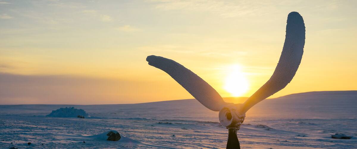 A sculpture of a hand with a long, curved arm in a snowy landscape at sunset.