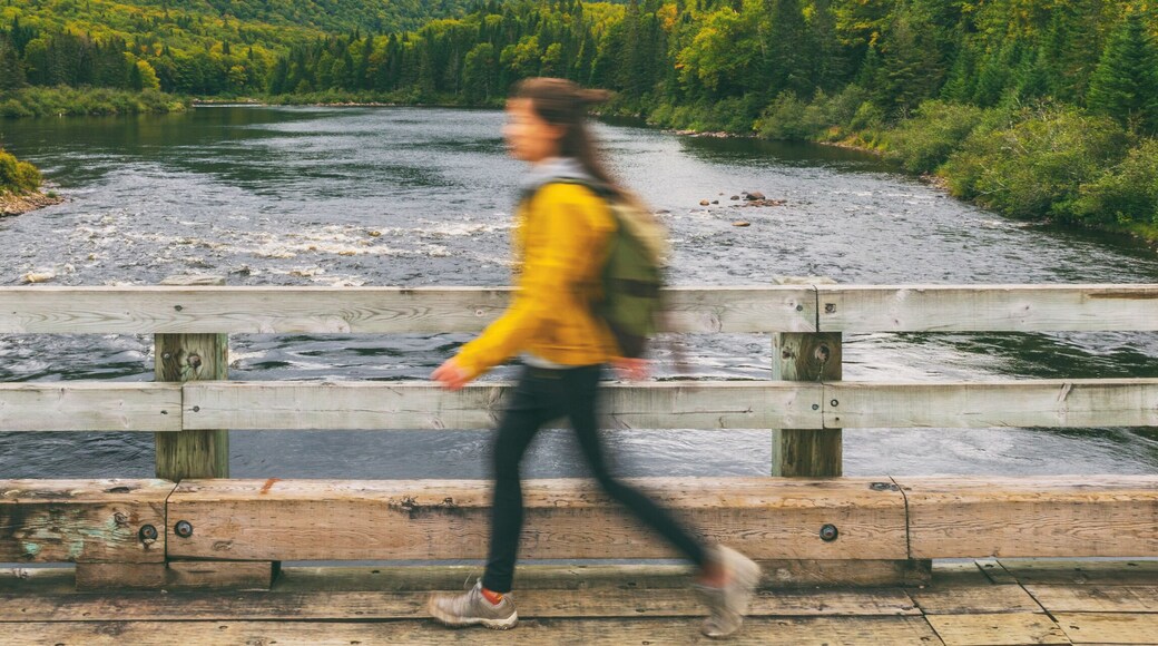 Hiker woman with backpack crossing river walking on bridge. Motion blur of tourist traveling in outdoor nature landscape fall autumn background panorama banner. Quebec, Canada.