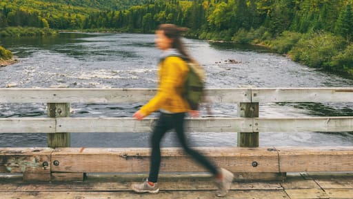 Hiker woman with backpack crossing river walking on bridge. Motion blur of tourist traveling in outdoor nature landscape fall autumn background panorama banner. Quebec, Canada.