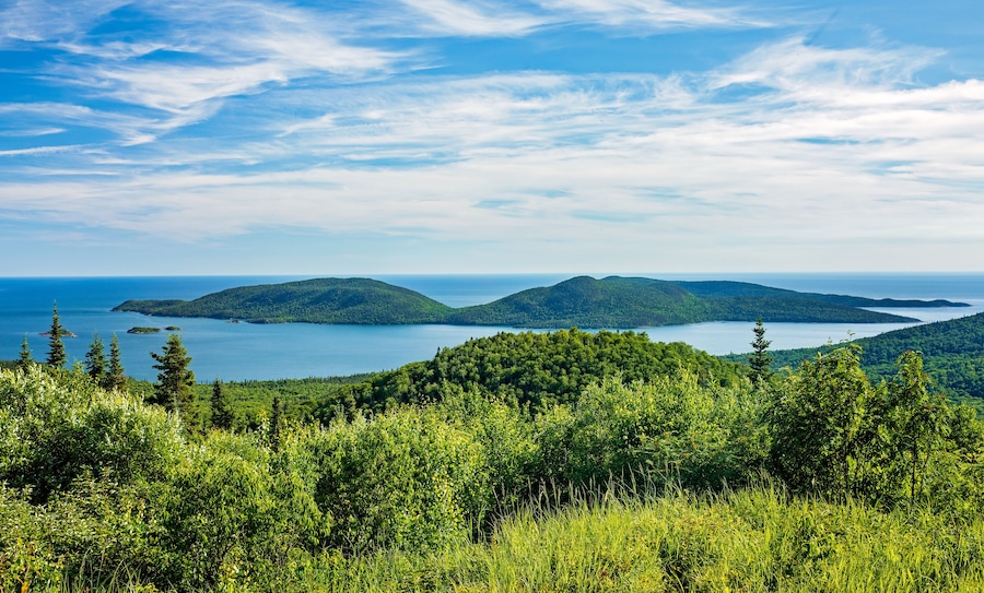 Un paysage côtier caractérisé par de vastes forêts verdoyantes, un ciel bleu dégagé et une mer calme.