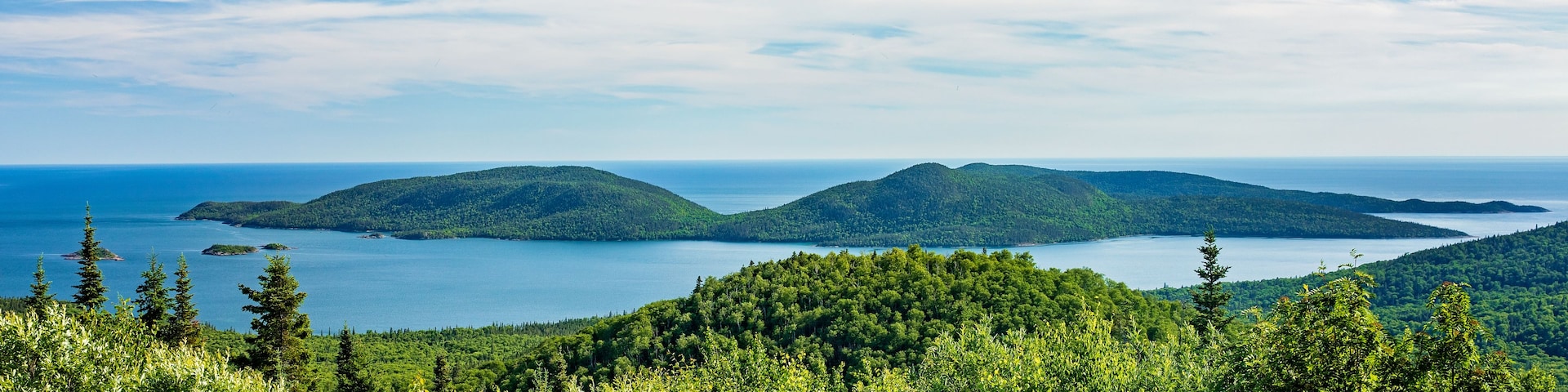 Un paisaje costero con densos bosques verdes, cielo azul despejado y mar tranquilo.