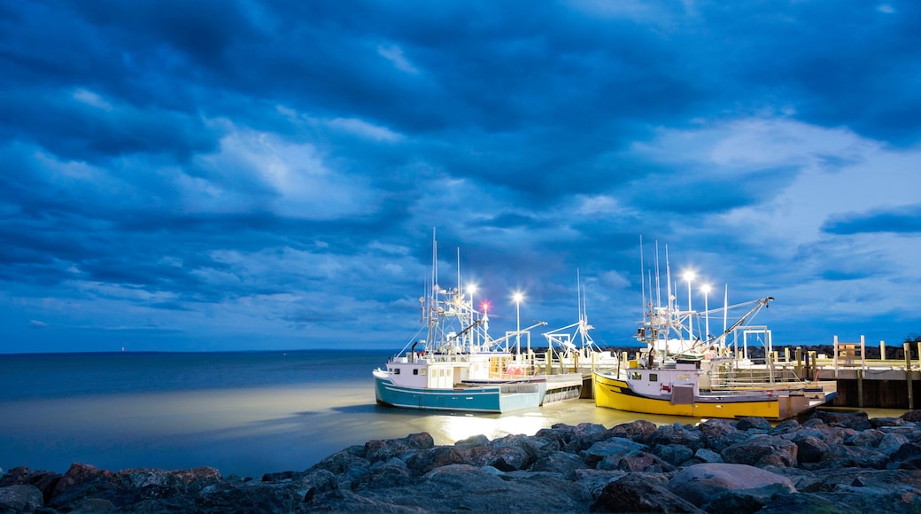 Fishing boats in the Bay of Fundy