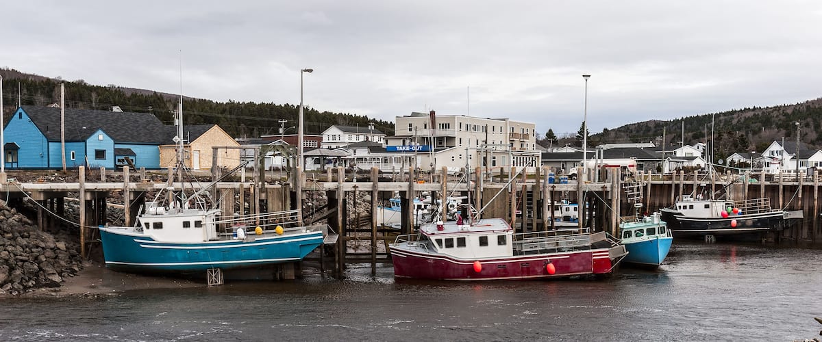 Fishing boats at low tide, Bay of Fundy