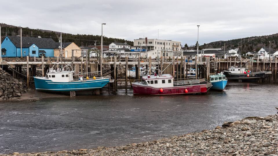 Fishing boats at low tide, Bay of Fundy