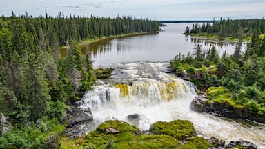 A waterfall surrounded by dense forest and a calm lake.