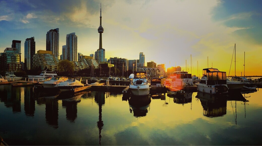 My hometown, one of the best living and most multicultural cities in the world!
Sunrise over the waterfront of Toronto, Canada.
#Canada #Ontario #Toronto #Reflections #waterfront #sunrise #morning #CNTower #Hometown #Golden #UrbanJungle