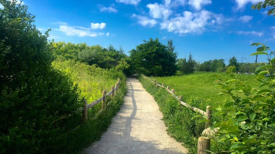 Un sendero de grava bordeado por abundante vegetación y una valla de madera, que se adentra en un paisaje exuberante bajo un cielo azul despejado.
