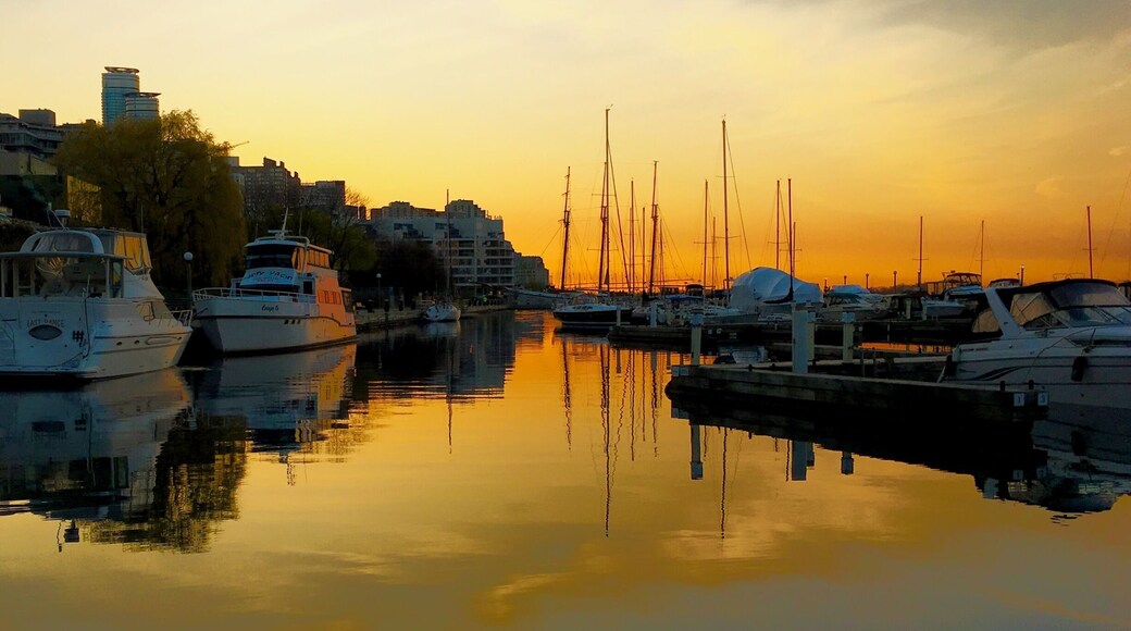 #Golden sunrise at the Harbourfront, Toronto, Canada.
#Canada #sunrise #reflection #Harbourfront #Toronto #Ontario #marina #quay