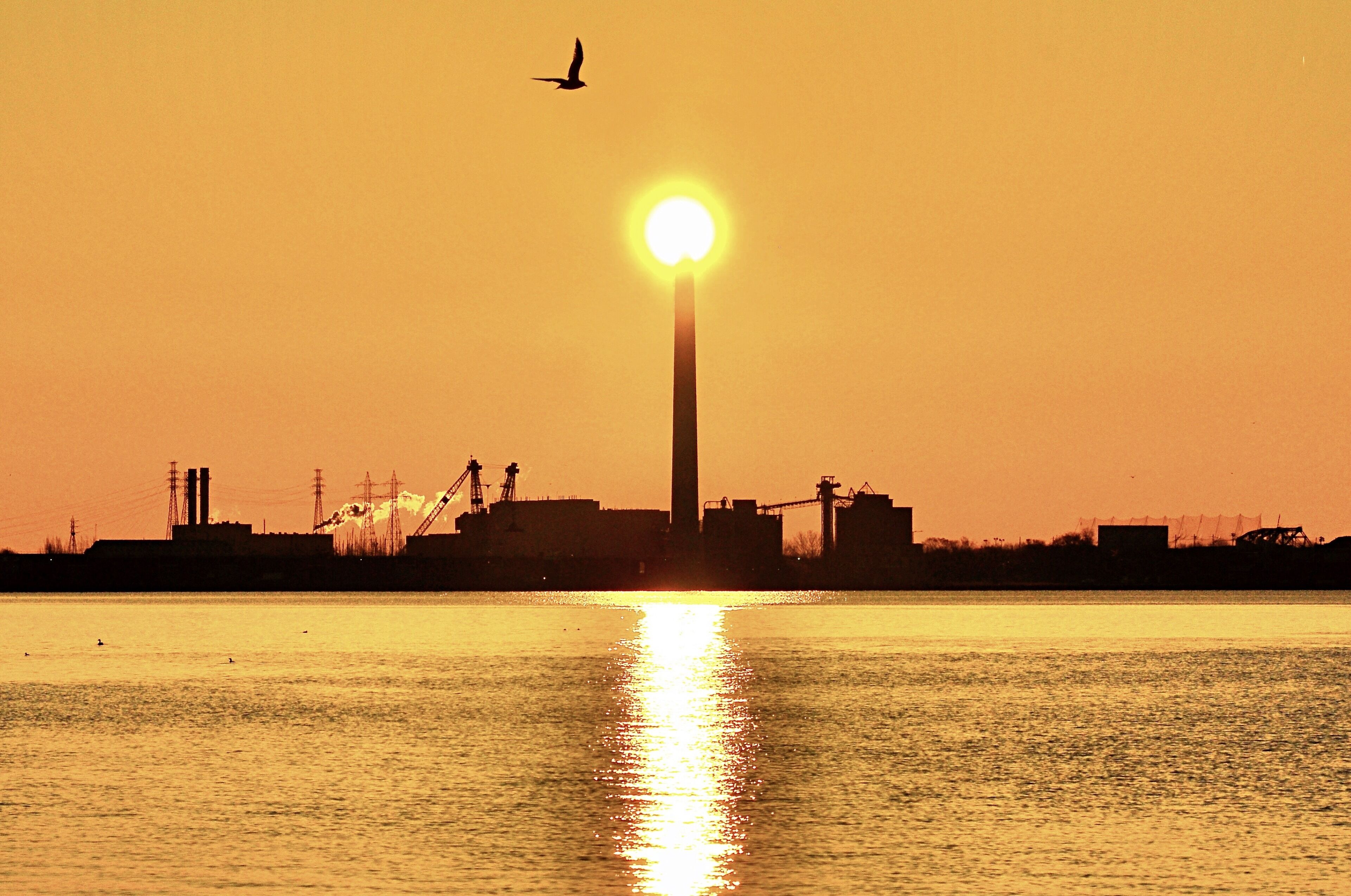Sunrise at the Port of Toronto, Ontario, Canada.
Toronto is an inland city, but it’s also a port city where locates on the north shore of Lake Ontario, one of the five Great Lakes of North America.
#Canada #Toronto #port #sunrise #reflection #LakeOntario #GreatLakes #golden
