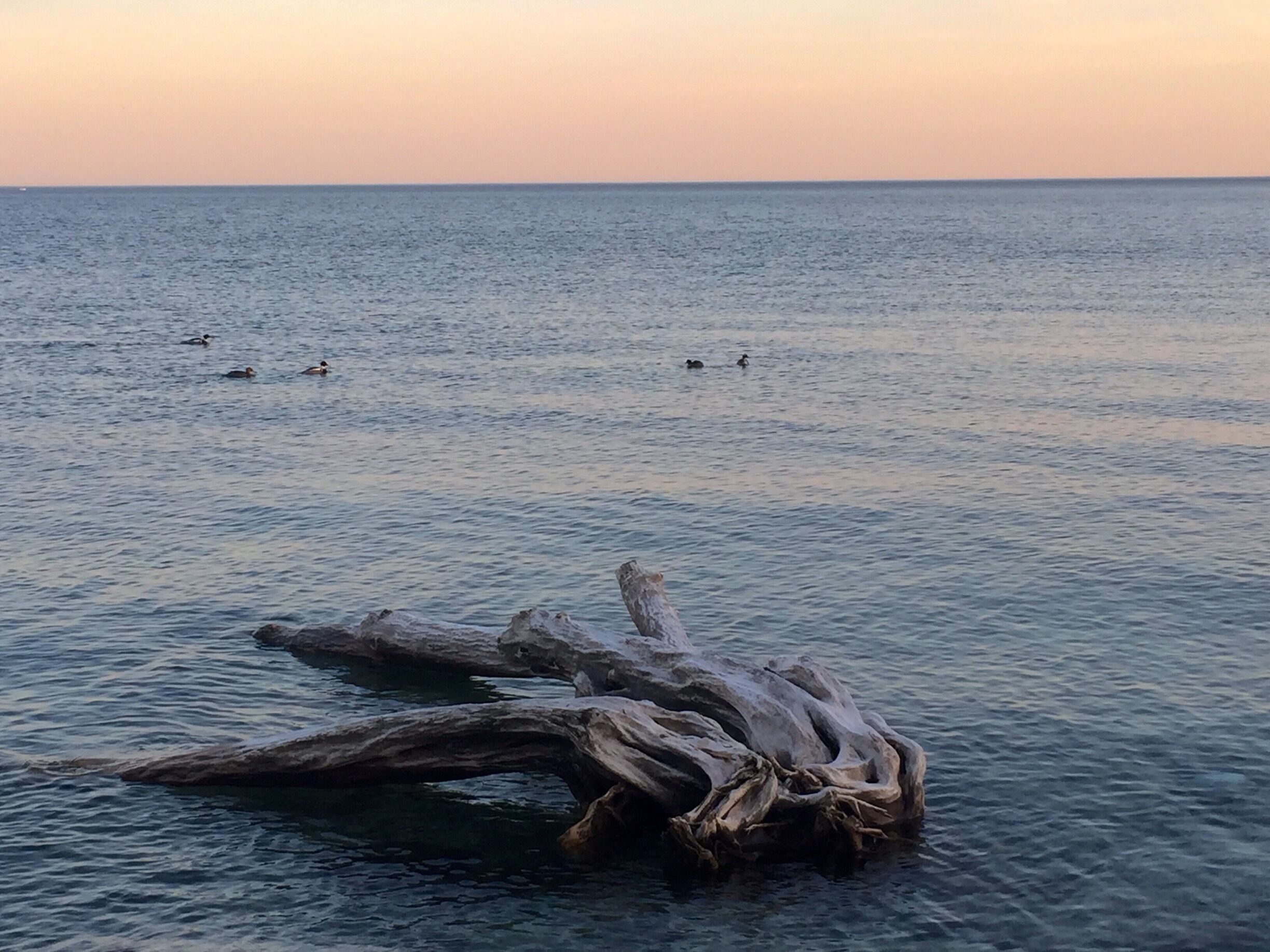 Peaceful shores with the city core buzzing only 7 km away.  