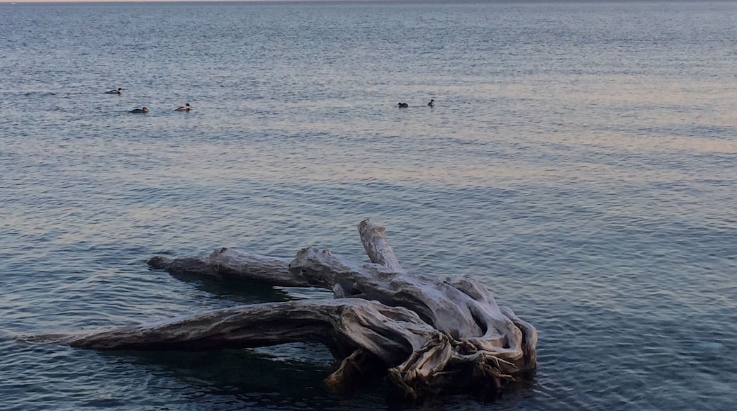 Peaceful shores with the city core buzzing only 7 km away.