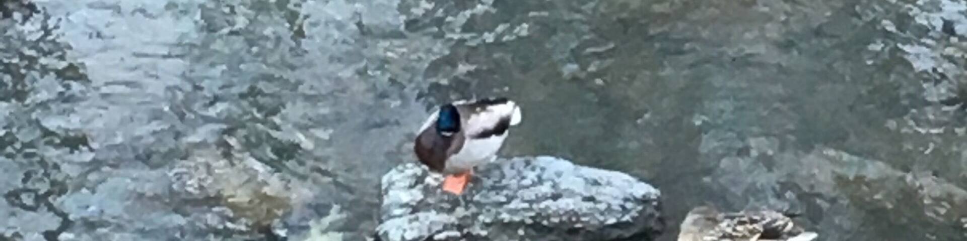 Awesome climate# morning side park#love toronto