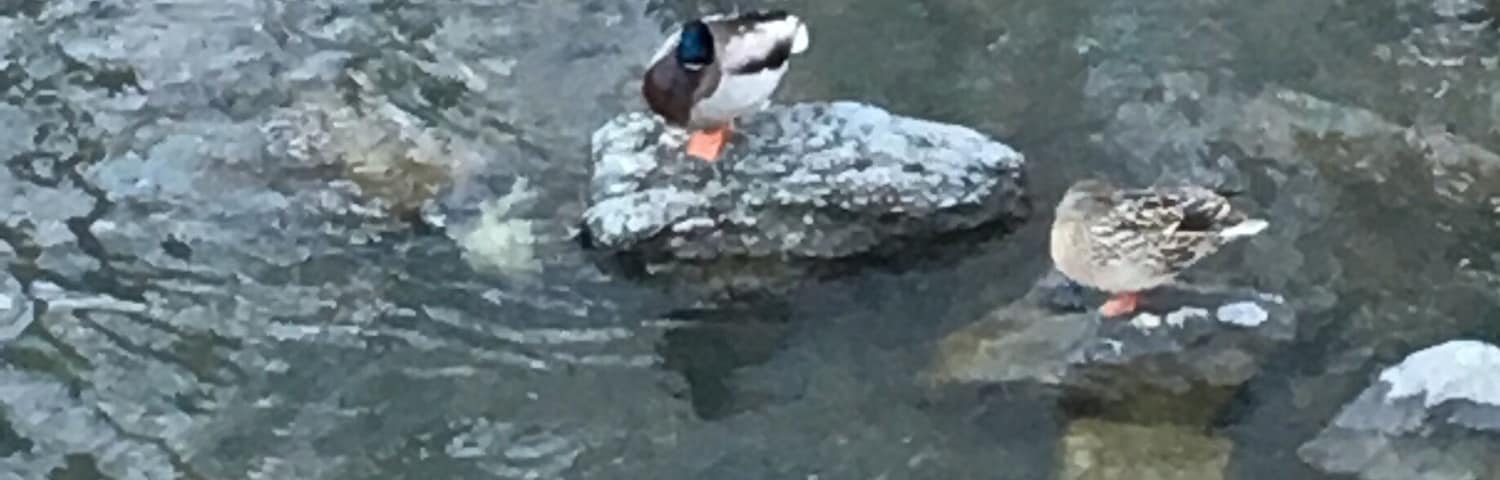 Awesome climate# morning side park#love toronto