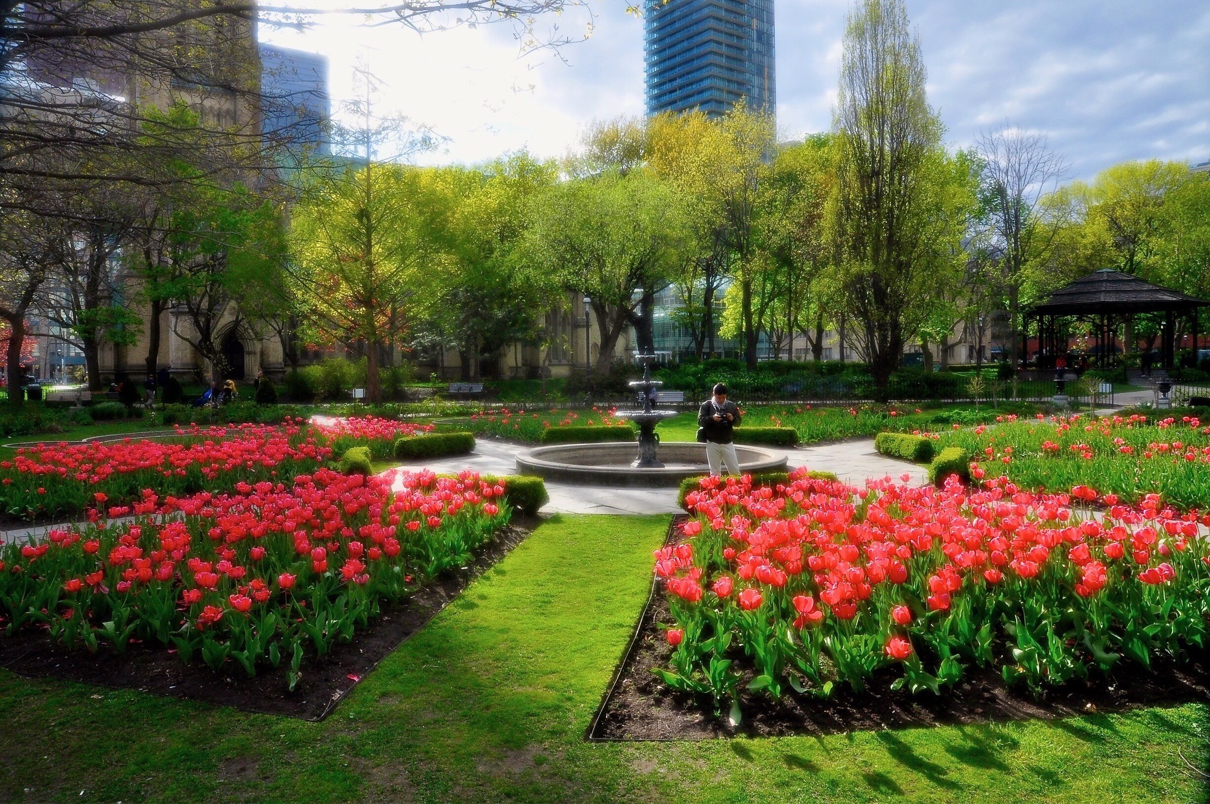 One of Toronto’s best park in Downtown and just next to the Cathedral Church of St. James, the biggest church in Toronto. Spring is always the best time to visit this wonderful Victorian garden, especially the tulips blossom season.
#Canada #Toronto #Ontario #park #garden #tulips #spring #LikeALocal #VictorianGarden 