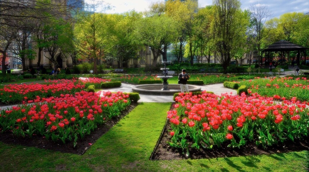 One of Toronto’s best park in Downtown and just next to the Cathedral Church of St. James, the biggest church in Toronto. Spring is always the best time to visit this wonderful Victorian garden, especially the tulips blossom season.
#Canada #Toronto #Ontario #park #garden #tulips #spring #LikeALocal #VictorianGarden