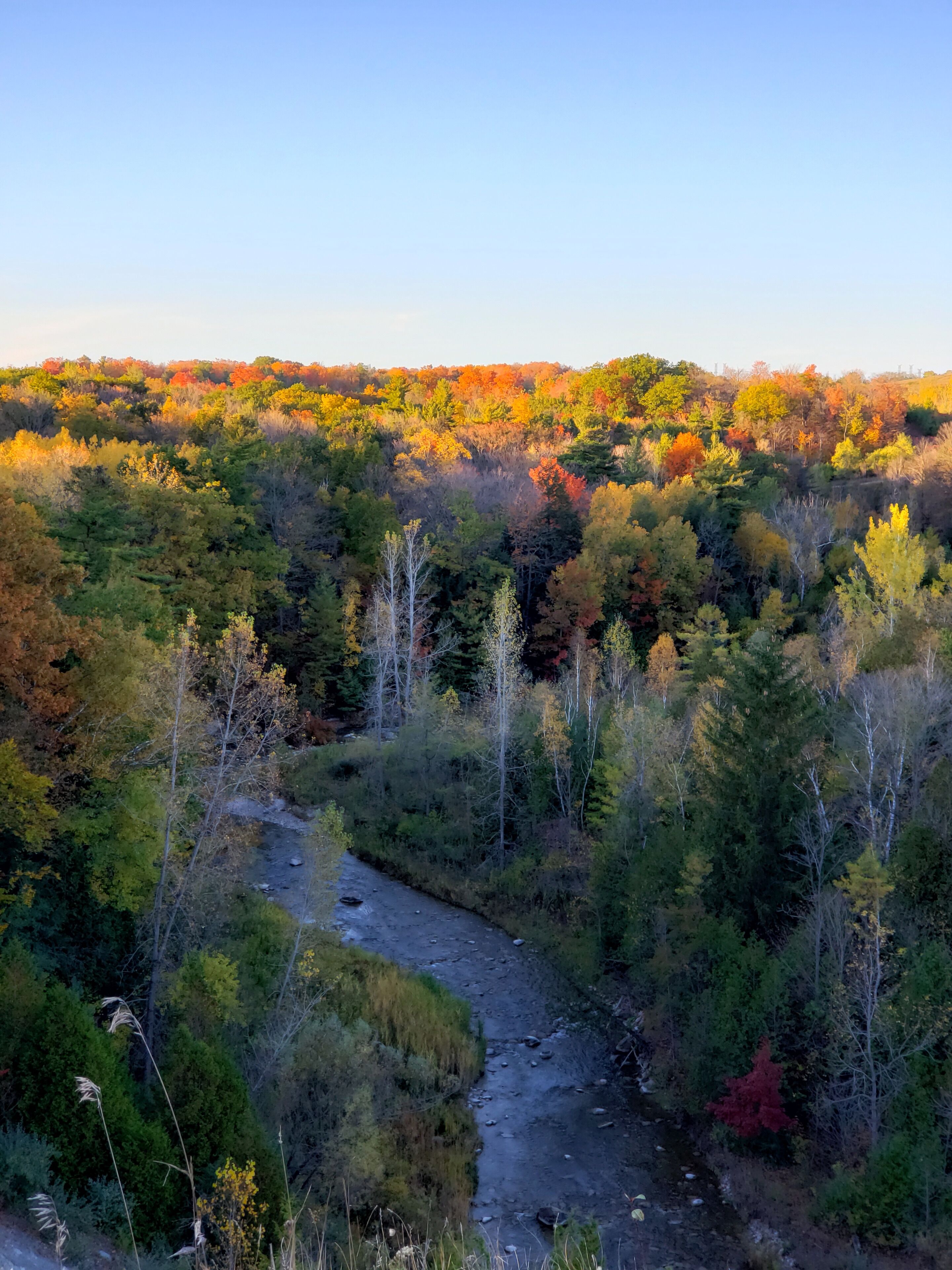At the observation deck 🍁