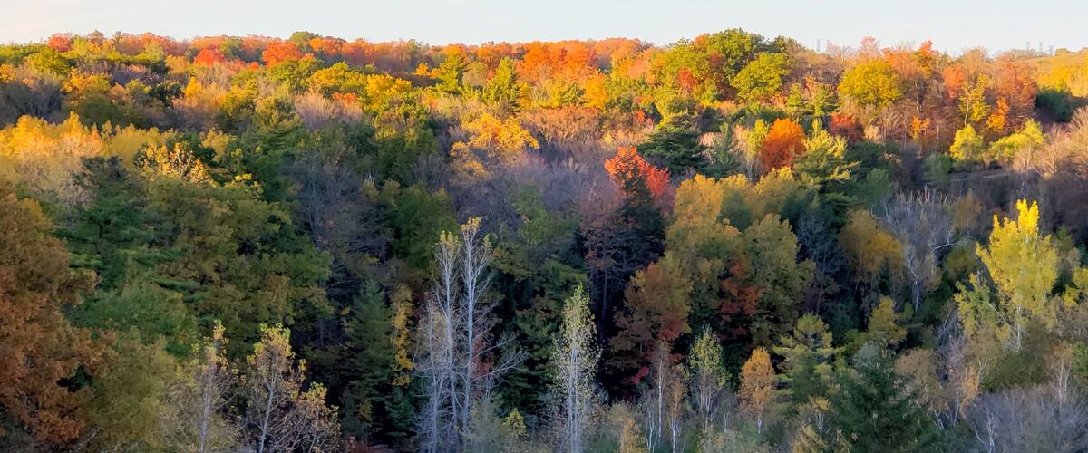 At the observation deck 🍁
