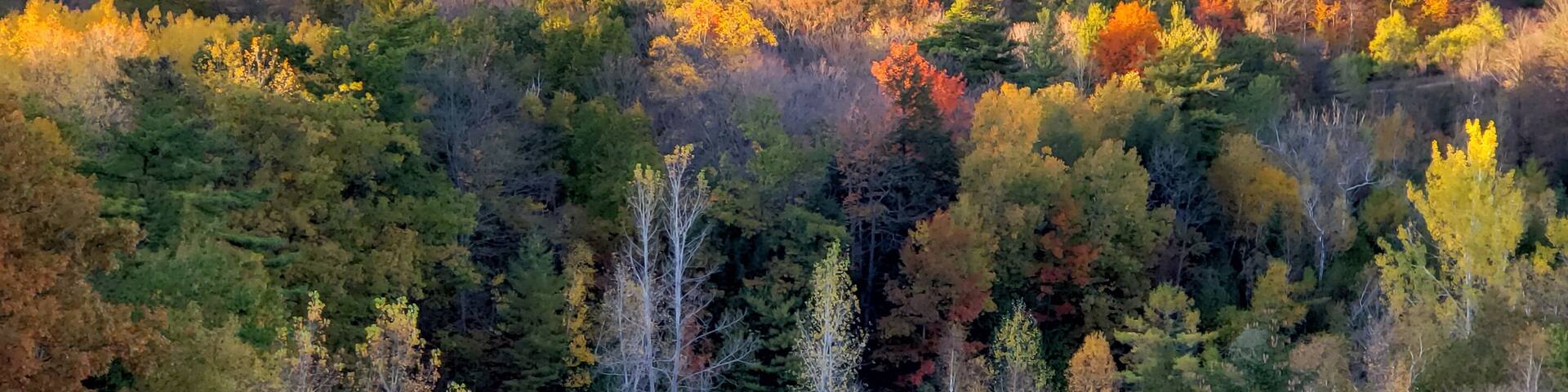 At the observation deck đ