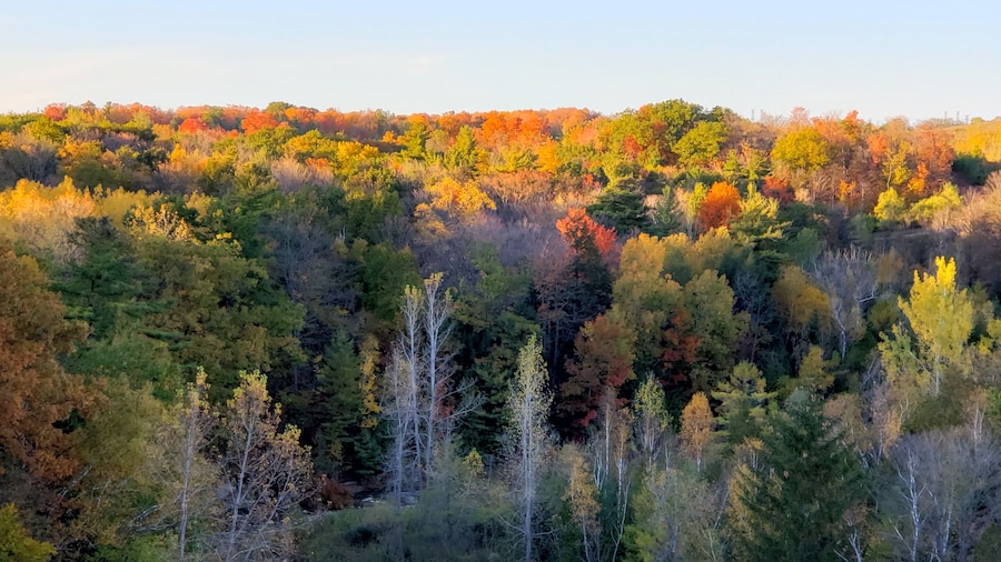 At the observation deck 🍁