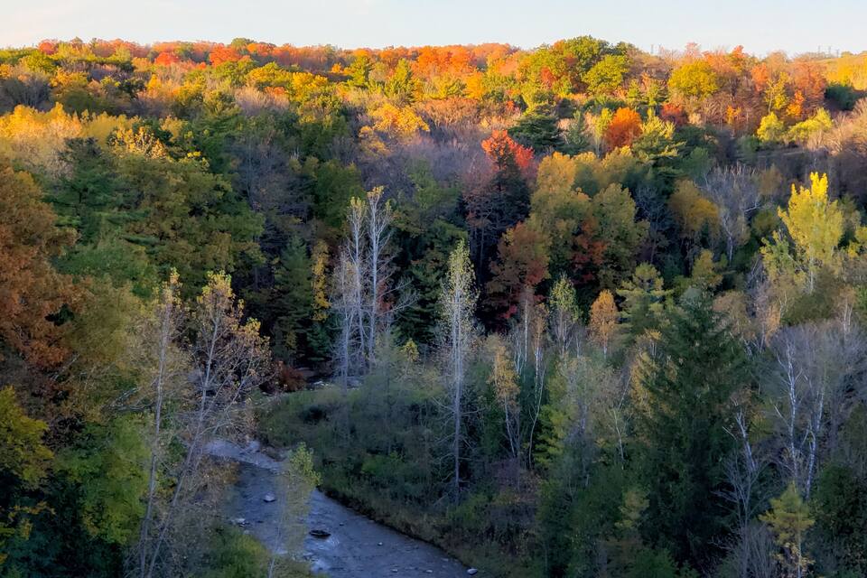 Une rivière serpentant à travers une forêt aux couleurs automnales.