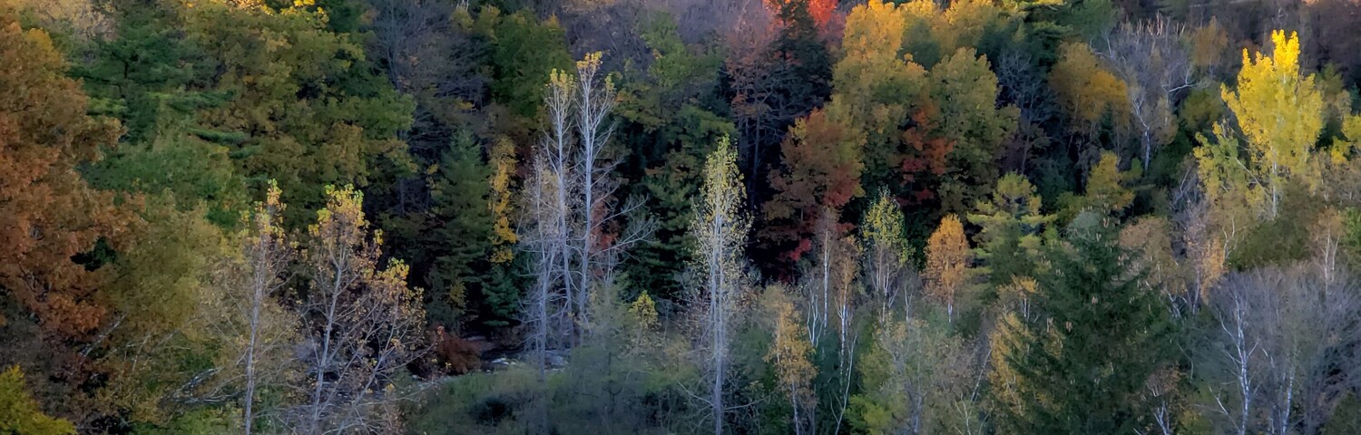 At the observation deck 🍁