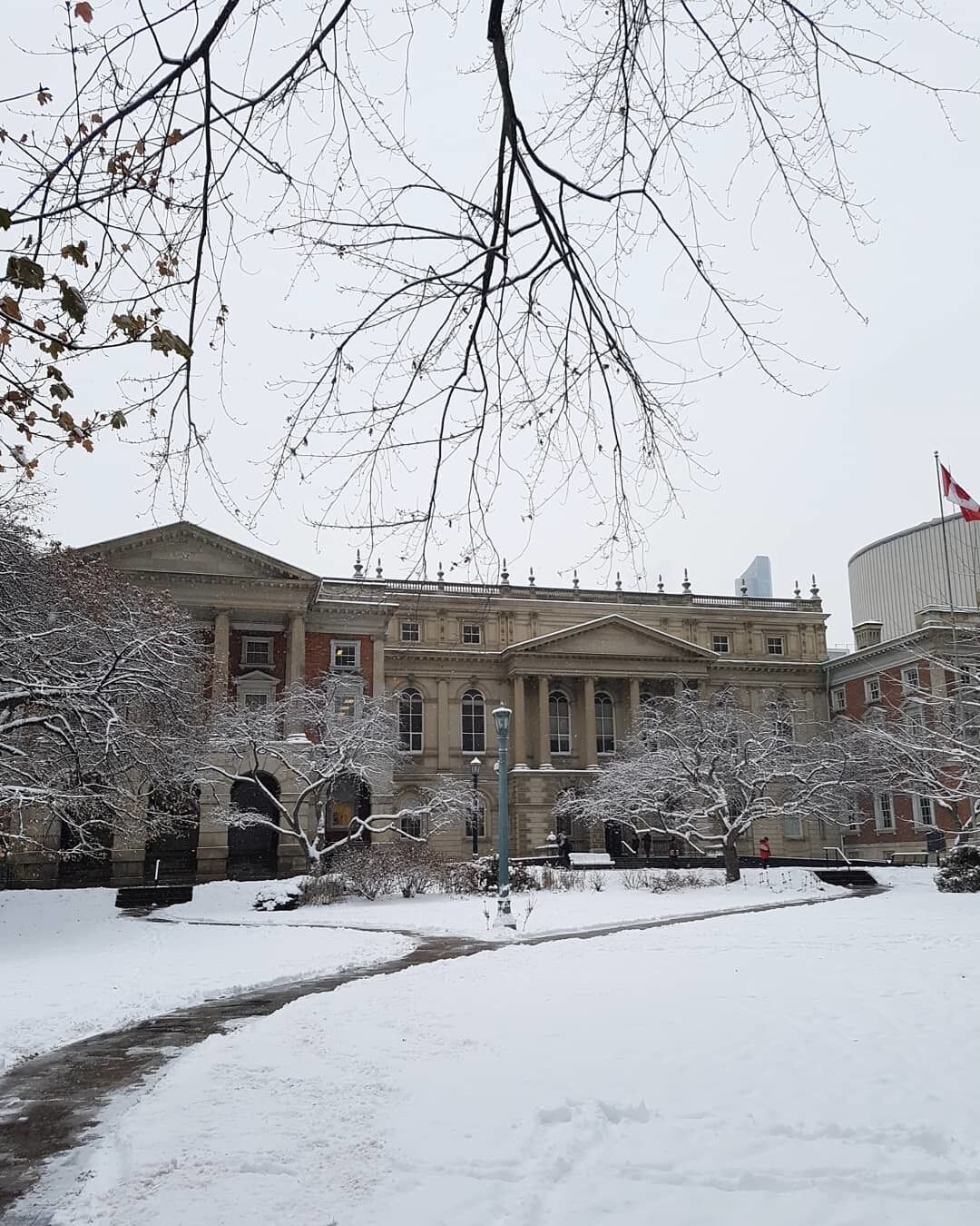 ❄ #architecture #building #architexture #city #buildings #architecturelovers #toronto #archilovers #architectureporn #canada #archidaily #winter #naturephotography #snow #photooftheday #nature