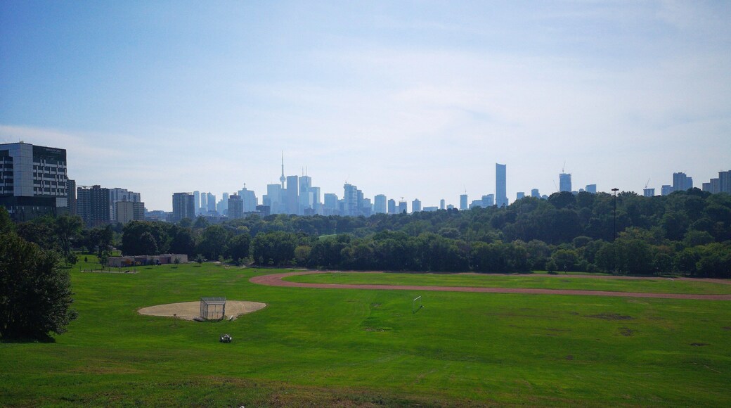 This park offers a beautiful view to the skyline of Toronto. Behind this scene there is a little coffee shop with exceptional homemade ice tea. #toronto #canada #park #discovertoronto