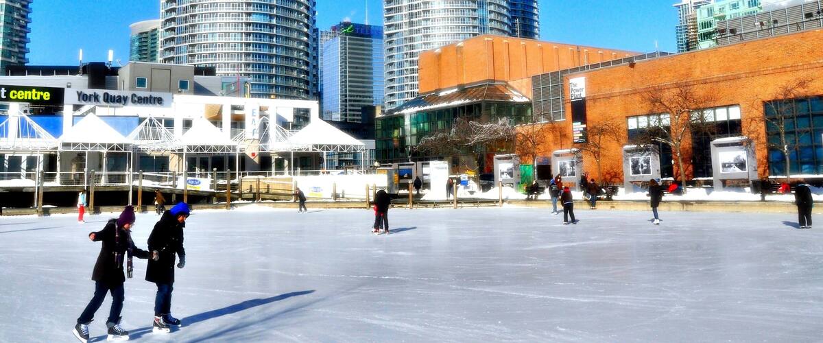Enjoy Winter in Toronto, Canada, ice skating is the most popular winter activity for the locals from December to March, there are many ice skate rinks like The Natrel Rink are free for the public and a nice place to hand out or watch people skate.
#Toronto #Ontario #Canada #IceSkating #rink #winter #Harbourfront