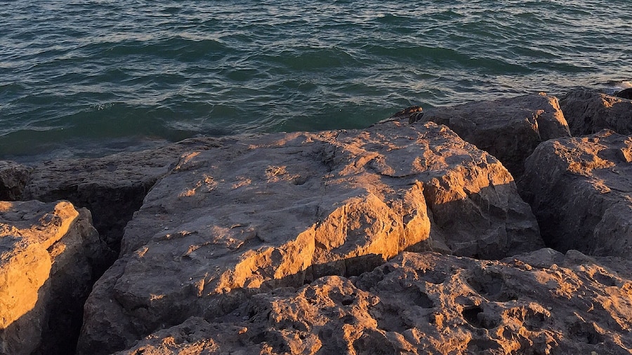 Golden hour - Kew Beach