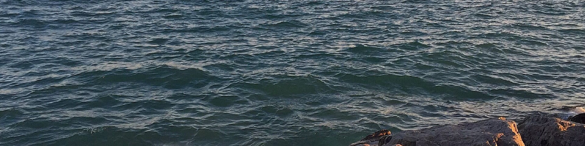 Golden hour - Kew Beach