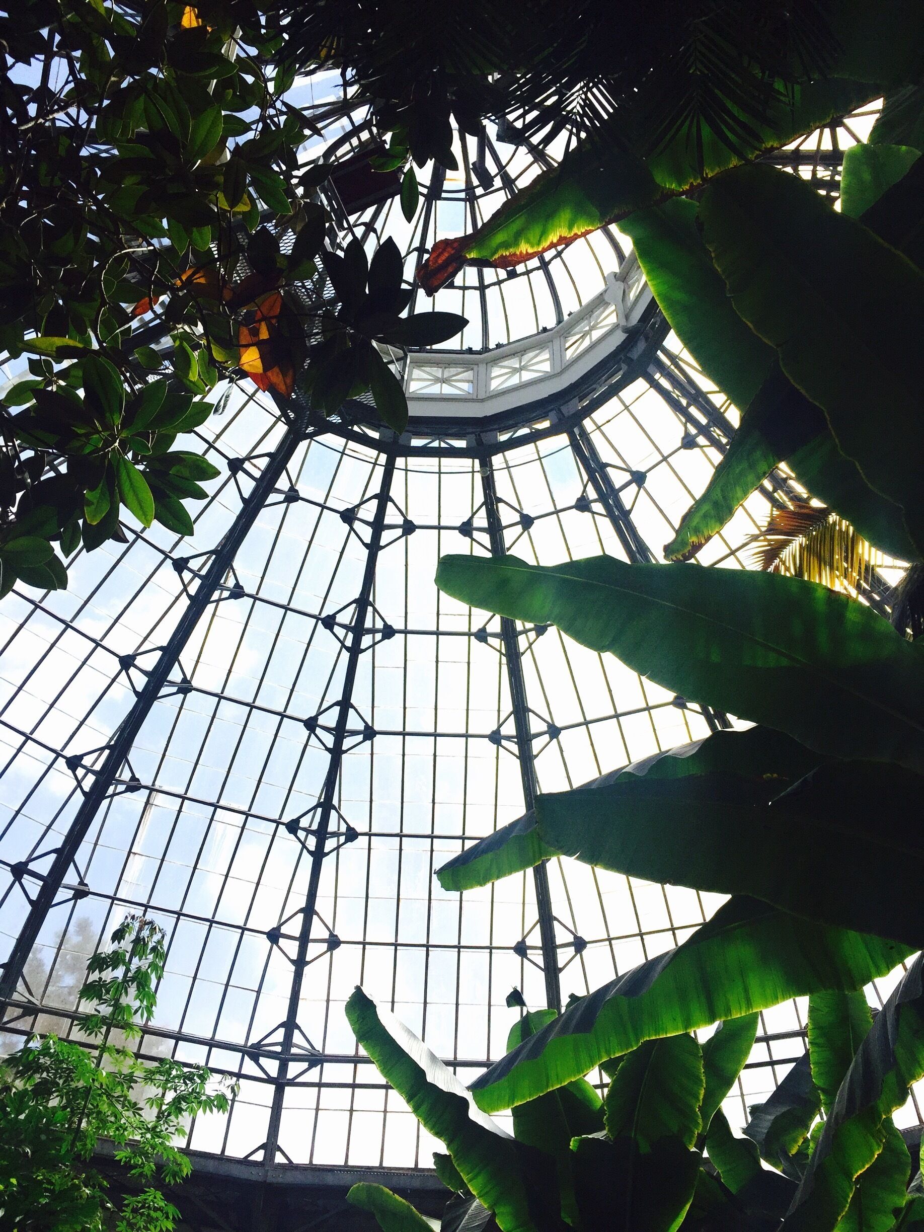 ...took a lovely stroll exploring through here. Highly recommend!