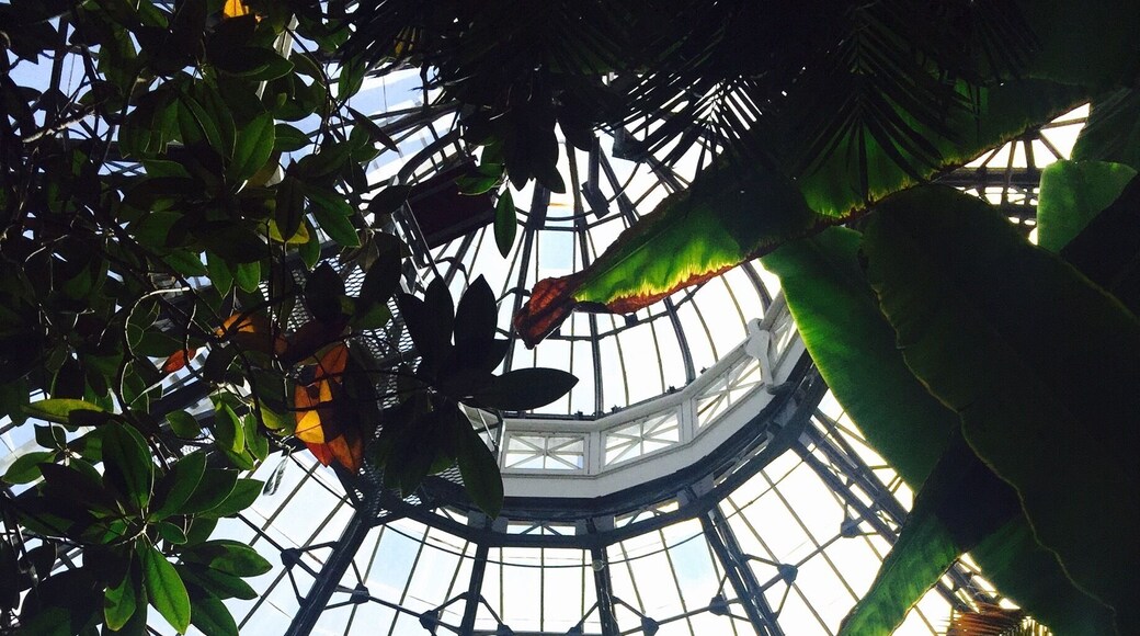 ...took a lovely stroll exploring through here. Highly recommend!