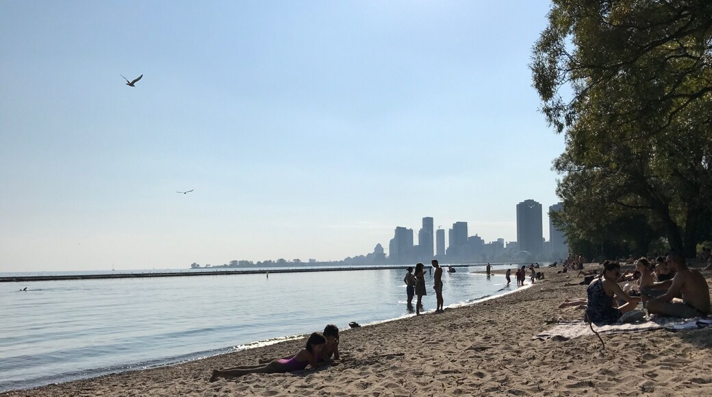 ซันนี่ไซด์