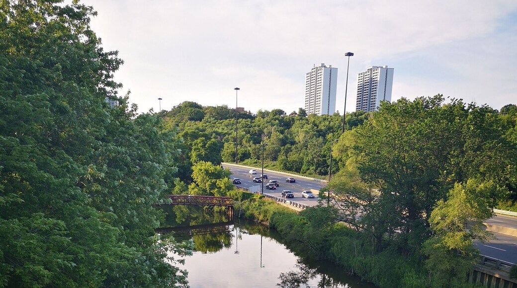 Toronto is so lucky to have Don Valley! This green space weaves itself throughout the city.