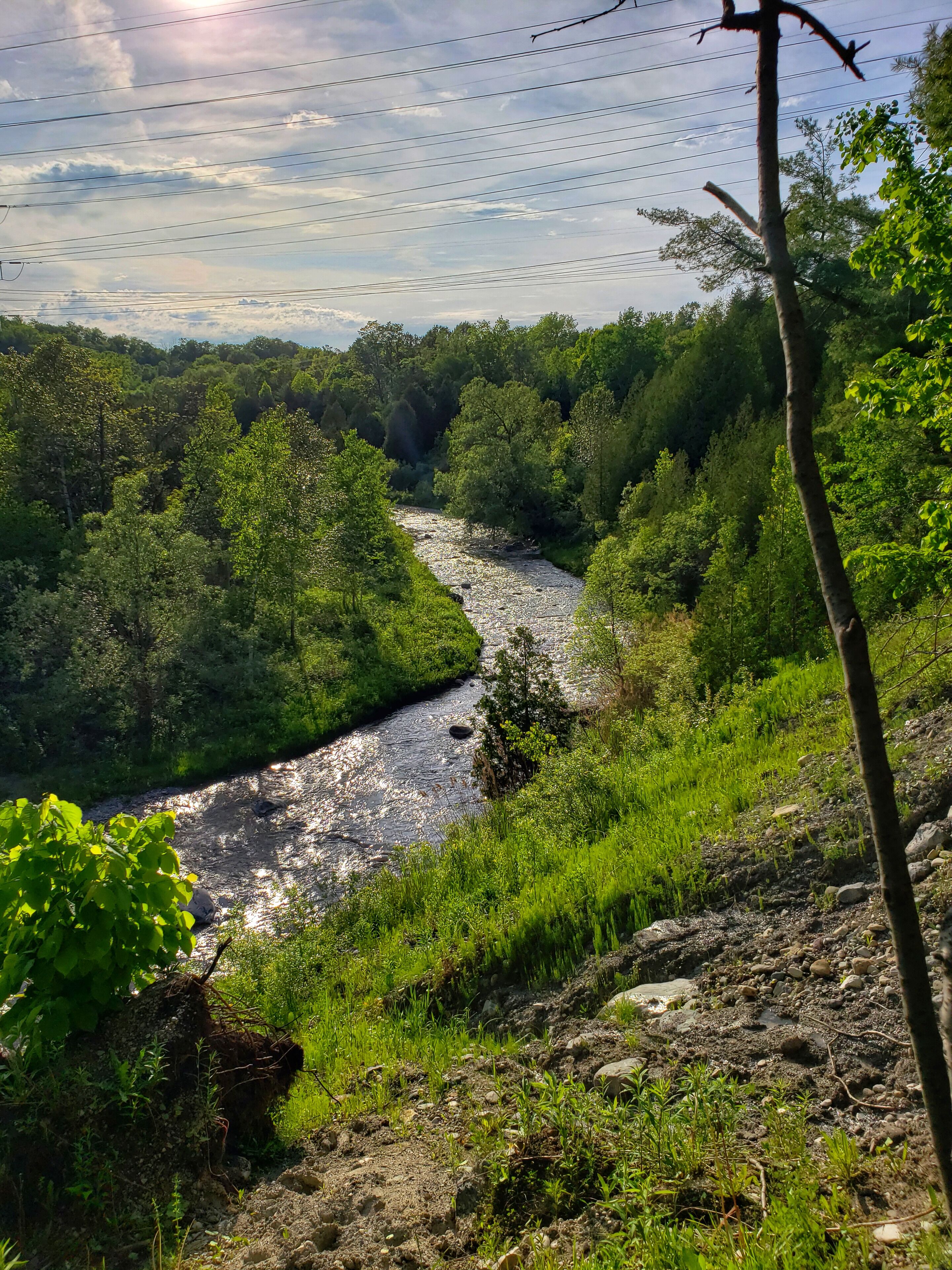 A nice way to get out the city and walk the trails along the Rouge River