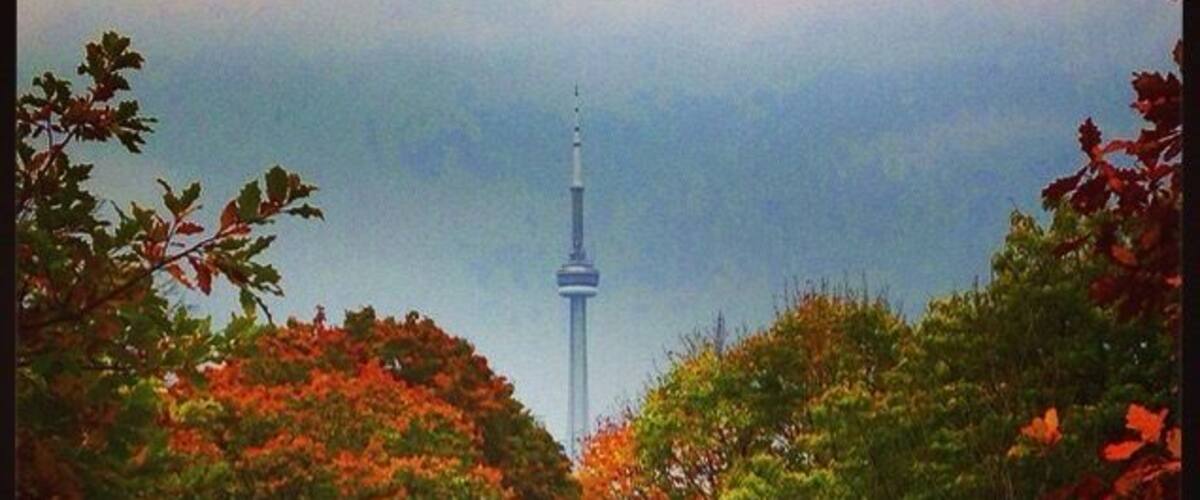 another colorful autumn view of Toronto
