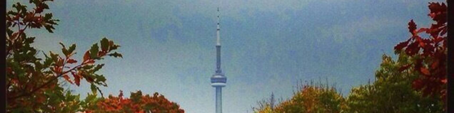A tower surrounded by autumn foliage.