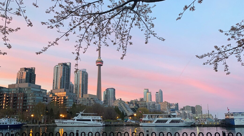 Toronto,Canada..Multicultural country..This photo is taken by me while I’m walking my dog. This is Toronto Downtown where you have cottage lifestyle to bustling city life..cottage lifestyle by hopping on a boat or Ferry towards the Toronto Island or Catching a flight to US or within Canada using the Toronto Island Airport...Financial District is only 15 mins walk from this side or Toronto Entertainment District.
#Culture