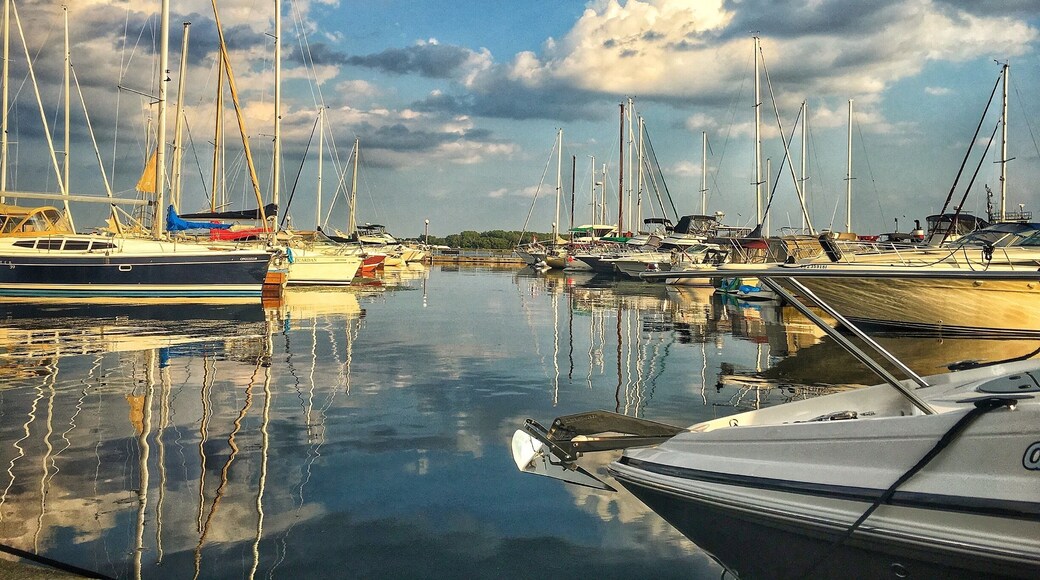 MapleLeaf marina