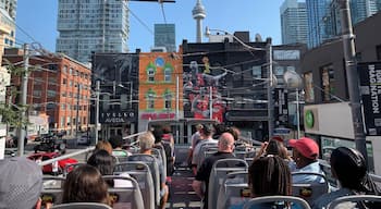 Seeing Toronto via an open top bus tour is certainly the way to go. With the ability to hop on and off at any stop you wish it makes for a great day or two out.