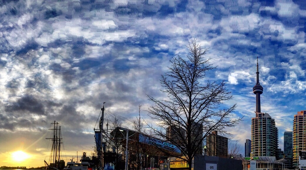 Business Trip in Toronto #LifeAtExpedia