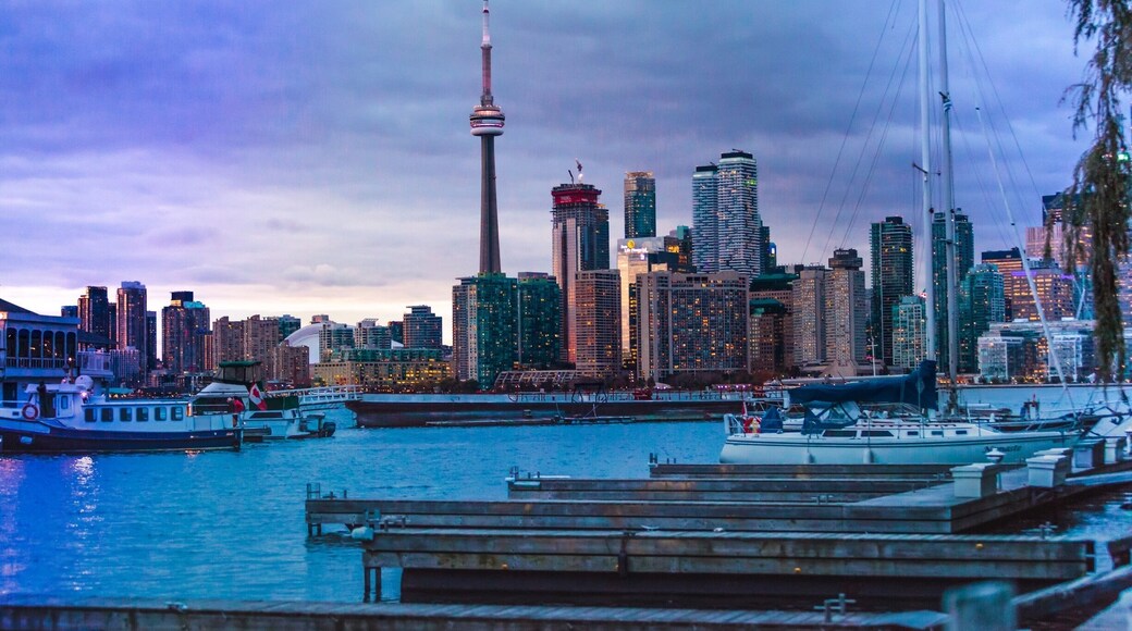 A great place to take photos of the CN Tower.