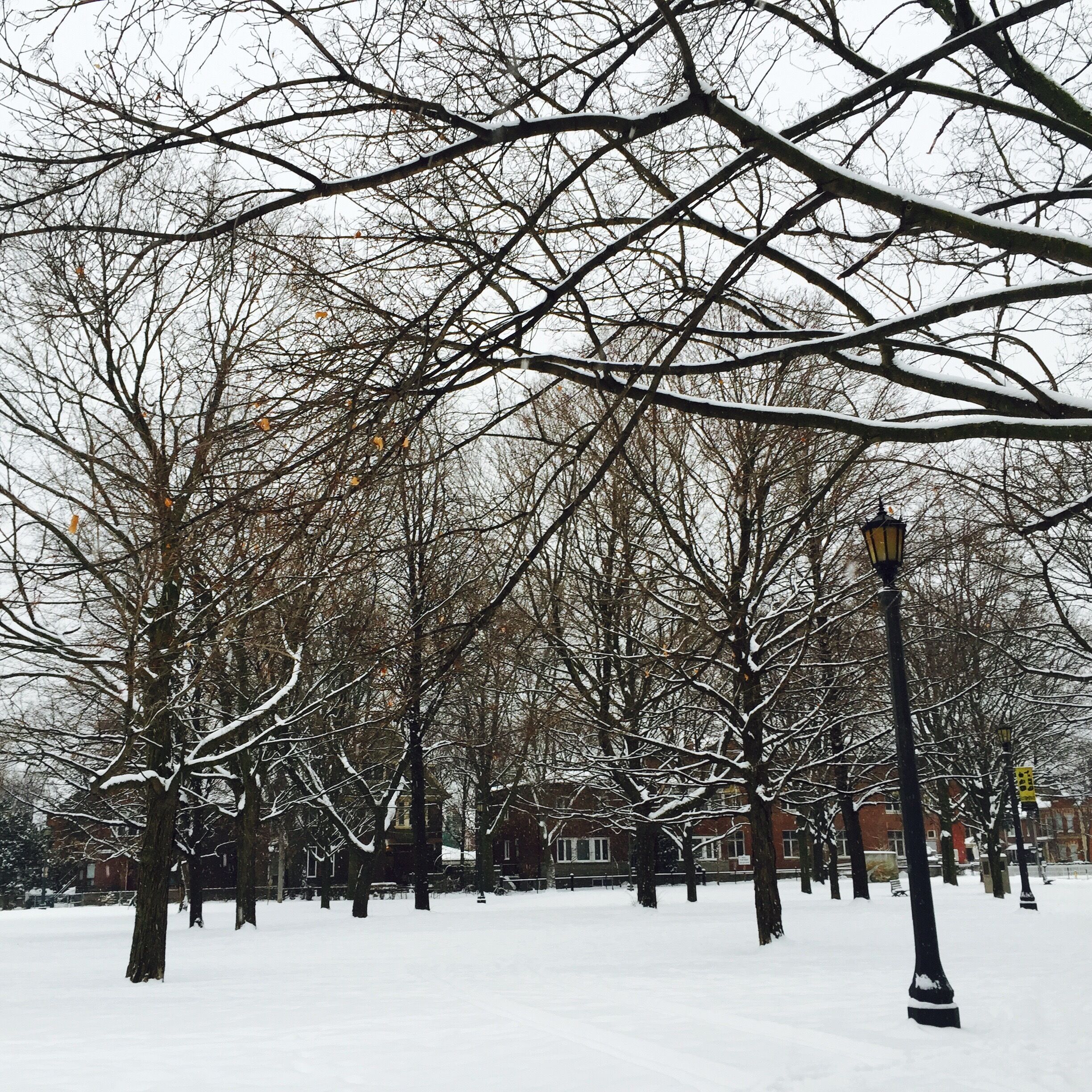 Cold winter in Toronto ❄️❄️⛄️⛄️❄️❄️