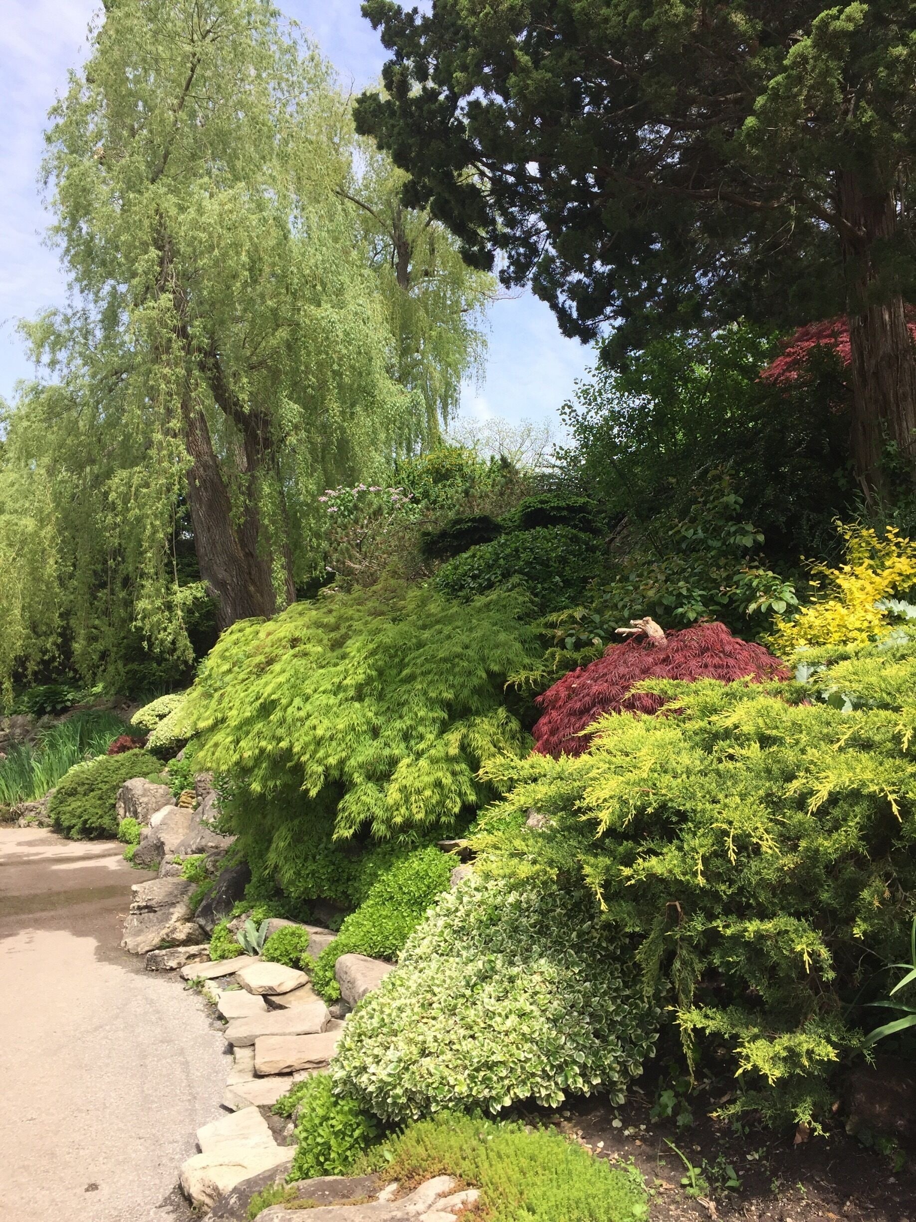 I wish I had found out about this place earlier, absolutely beautiful.