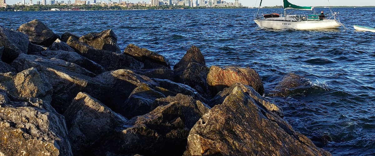 View of the Toronto skyline